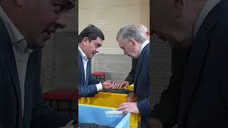 Davlatimiz rahbari meva-sabzavot mahsulotlarini qayta ishlashga ixtisoslashgan korxonada bo‘ldi