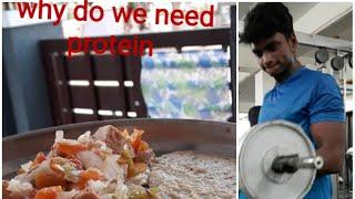 Why is protein important?how much protein do we need