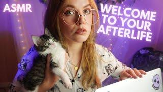 ASMR WELCOME TO THE AFTERLIFE [carol asmr interview with kitten]