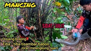 Mancing sidat/julit bali, ketinggian 11 meter. #mancing #mancingambyar #mancingsidat #mancingmania