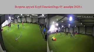 Встреча друзей Клуб eMotionDogs 05 декабря 2020 года - eMotionDog agility school