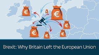 Brexit: Why Britain Left the European Union | 5 Minute Video