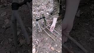 trap #bushcraft #trap #survival