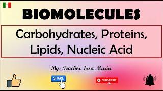 Biomolecules | Classification of Biomolecules | Carbohydrates, Proteins, Lipids and Nucleic Acids