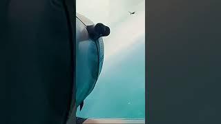 60 Seconds of Agony #dunkirk #christophernolan #warmovie