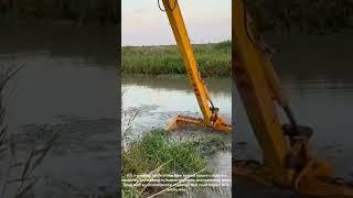 HOLD YOUR BREATH! Excavator BATTLES GIANT 'Water Monster' Debris JAMMED TIGHT Under the Bridge!