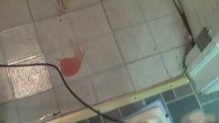 A Haan Floor Sanitizer Steam Mop Demo www.ExploreVacuumCleaners.com 1-866-805-4897
