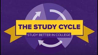 The Study Cycle: Study Better in College