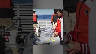 This pokeball catches ocean animals