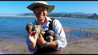 Digging for clams in Oregon. How and where to catch giant clams during low tide