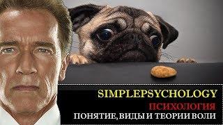 Психология. Понятие, виды и теории Воли.