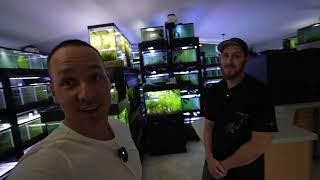 HOW TO SET UP A SHRIMP TANK  - The king of DIY -  Garden of Eder - Aquarium fish shrimp