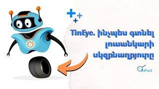 TinEye. Ինչպես գտնել լուսանկարի սկզբնաղբյուրը / inFact/Փաստացի