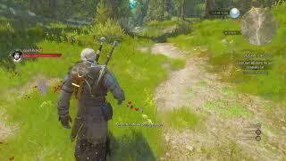 Geralt Ain't No Simp! - The Witcher 3  Wild Hunt