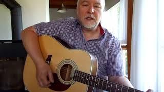 Hokey Pokey Song
