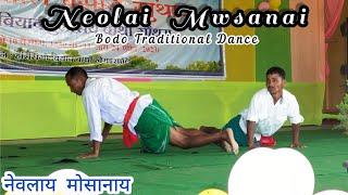 नेवलाय मोसानाय || Neolai Mwsanai || Bodo Traditional Dance @nitulbrahma