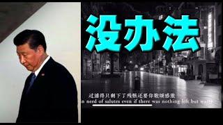 习近平拿上海没办法，唱歌也是抗争！北京危急，央视主播带头抢购！乌军跨境突袭俄国目标。泽伦斯基妙答中国记者