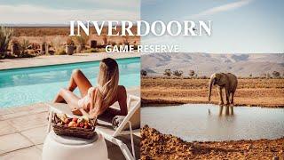 SAFARI CLOSE TO CAPE TOWN?! Staying at in Inverdoorn Game Reserve