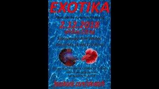 Exotika December 2018 (aqua-terra sales show)
