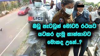 කළකම් පළදෙනව කියන්නෙ මේවට තමයි | බවු පැටවුන් යටකර දැමූ කාන්තාවට මොකද උනේ | sri lanka dog rescue