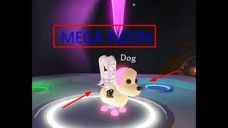 MEGA NEON DOG!!! Mega neon dog yaptık!!! (Adopt me)