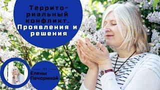 Территориальный конфликт. Проявления и решения