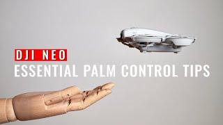 DJI NEO | Essential Palm Control Tips