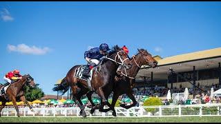 【WAGGA】 AUSTRALIA HORSE RACE ANALYSIS