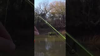 How to Jig & Bobber for Crappie‼️