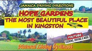 66.7 PART 1 Jamaica HOPE GARDENS (Royal Botanical Gardens) The most beautiful place in Kingston