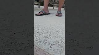 Crush ant under my flip flops.. bye bye 