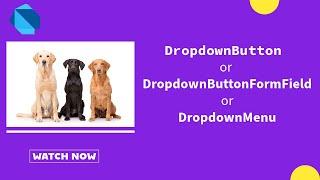 DropdownButton, DropdownButtonFormField and DropdownMenu in Flutter