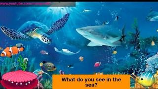 5 th class english, Unit - II , Sea animals poem