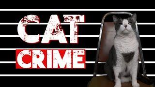 Cat Crime - Episode 1 - No Dogs Left to Blame