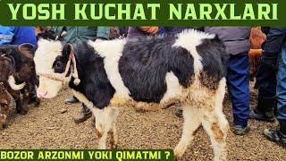 Yozyovon mol bozori Yosh kuchat buqalar va xunajin yangi narxlari bn tanishing!