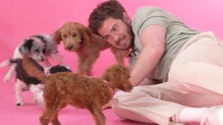 Andrew Garfield: The Puppy Interview