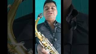 Restauración de Saxofón Alto - Luthería Jolomocox - Reparación y Mantenimiento de Instrumentos Music