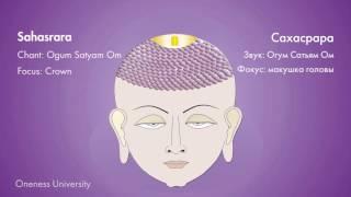 Чакра медитация | Chakra Dhyana