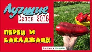 Перец и баклажаны. Теплица и открытый грунт. Проверено Сибирью!