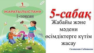 1 сынып жаратылыстану 5 сабақ