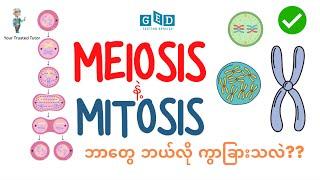 Meiosis Vs Mitosis Differences for GED science | Cell Division | Cellular Multiplication | Genetics