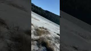 It’s the season of frozen lakes in Canada #spring #frozenlakes #canada #winters #ytshorts #lakes