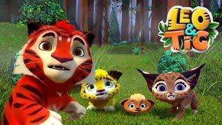 Leo and Tig  The Red Deer  Favorite episodes  Funny Family Good Animated Cartoon for Kids