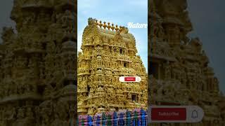 Beautiful Architecture Ekambareshwar temple#kanchipuram #Hindustan#spiritual motivation#yt#shorts