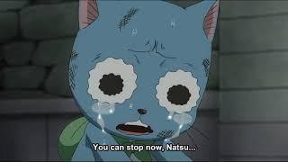 Happy cries as he heard Natsu wanting to beat Zeref 