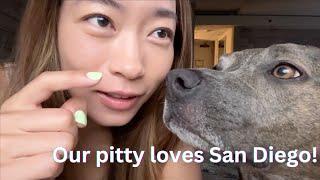 Epic San Diego Adventure with our Adorable Puppy!