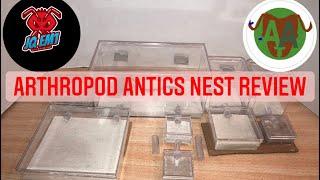 Arthropod Antics Nest Review