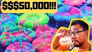 SALTWATER CORAL STORE TOUR
