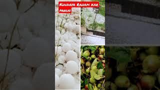 Khudaya raham Kar panun || huge amount of fruits damaged in #Handwara