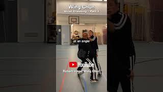 Wing Chun on Wrist Grabbings (Part 1) #ipman #wingchun #jeetkunedo